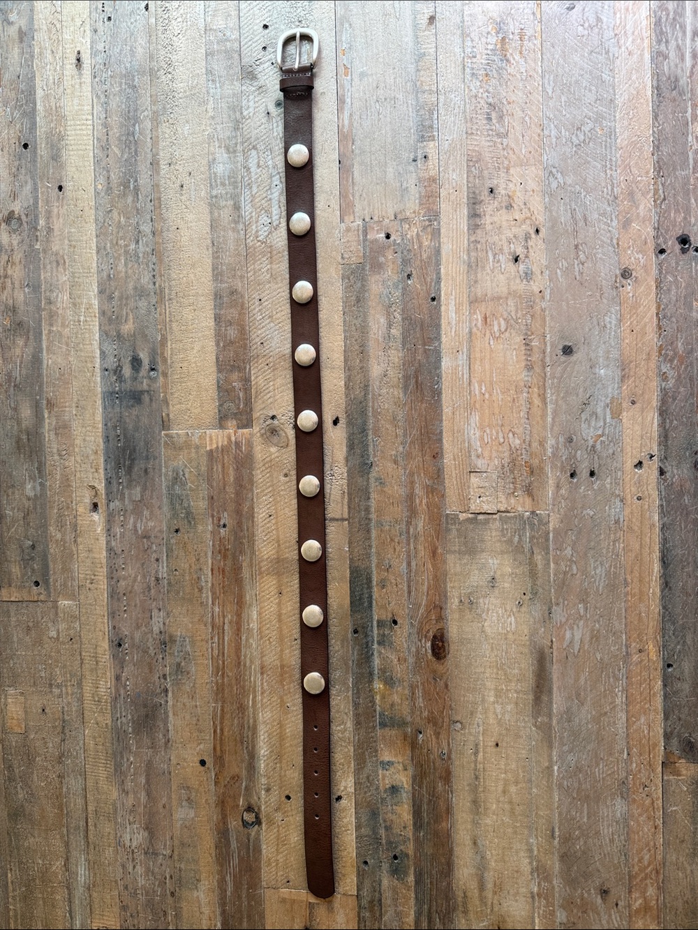 Brown Leather Belt with Round Metal Studs